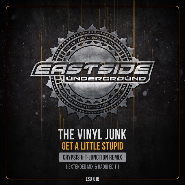 Get a Little Stupid (Crypsis & T-Junction Remix) - Radio Edit album art