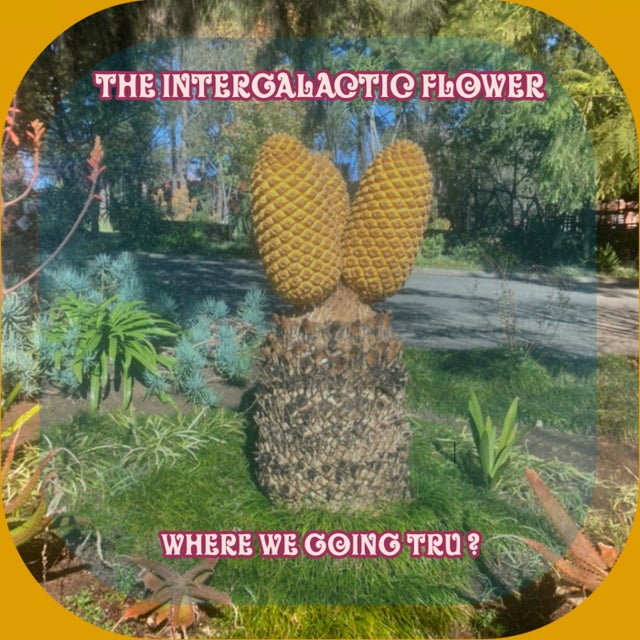 Where We Going Tru? album art
