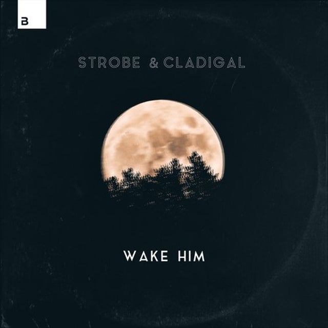 Wake Him - Extended Mix album art