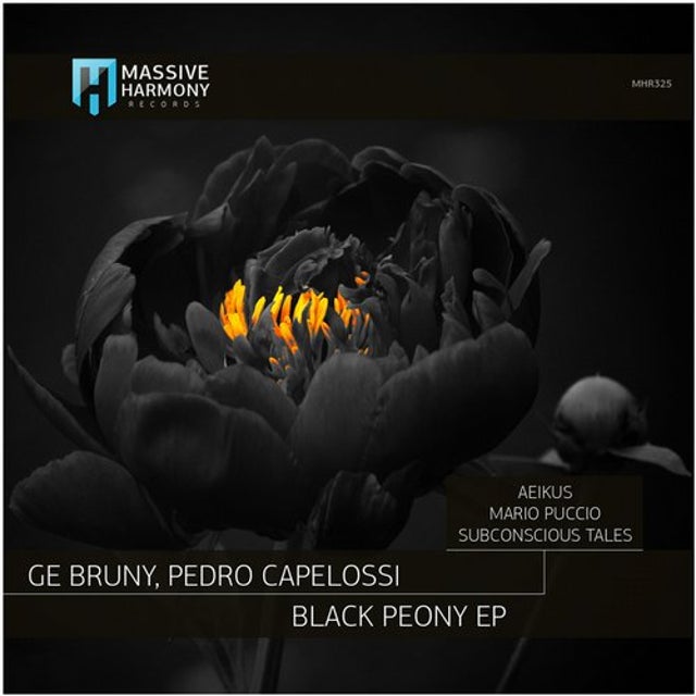 Black Peony - Subconscious Tales Remix album art