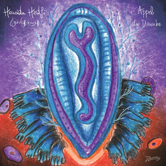 Appel Du Danube (feat. Planningtorock) album art