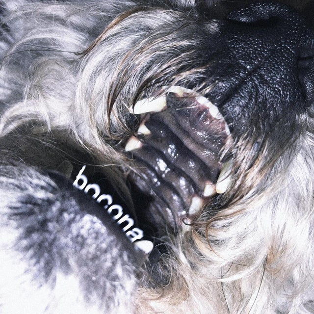 Bocona album art
