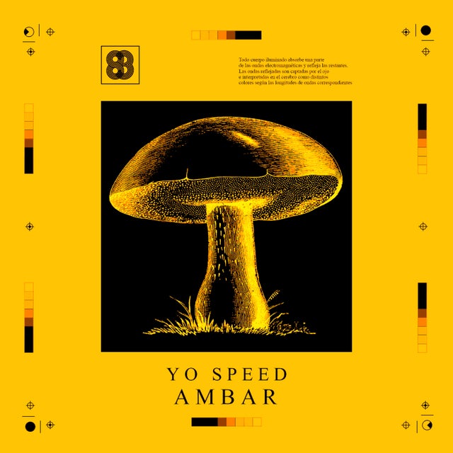Ambar album art