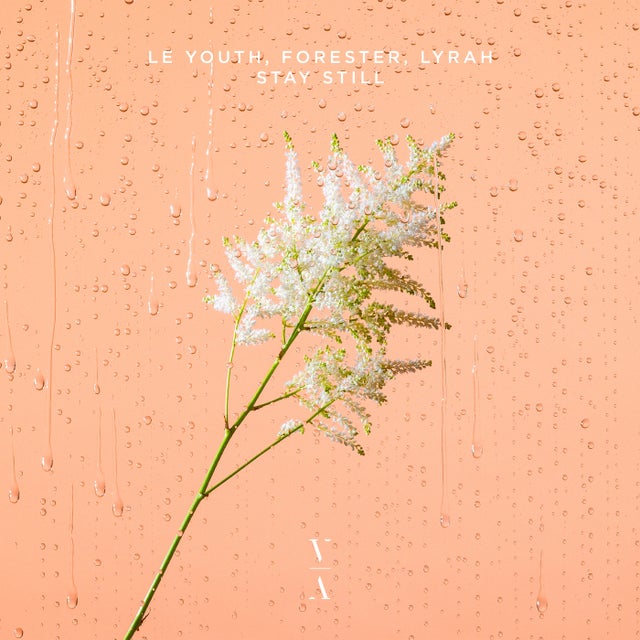 Stay Still album art