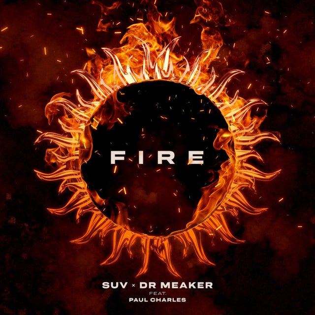 Fire (feat. Paul Charles) - Bladerunner Jungle Remix album art