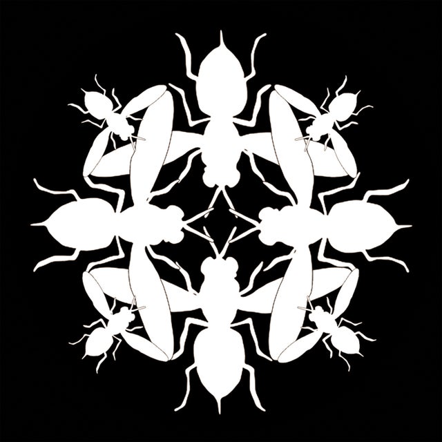 Machine album art