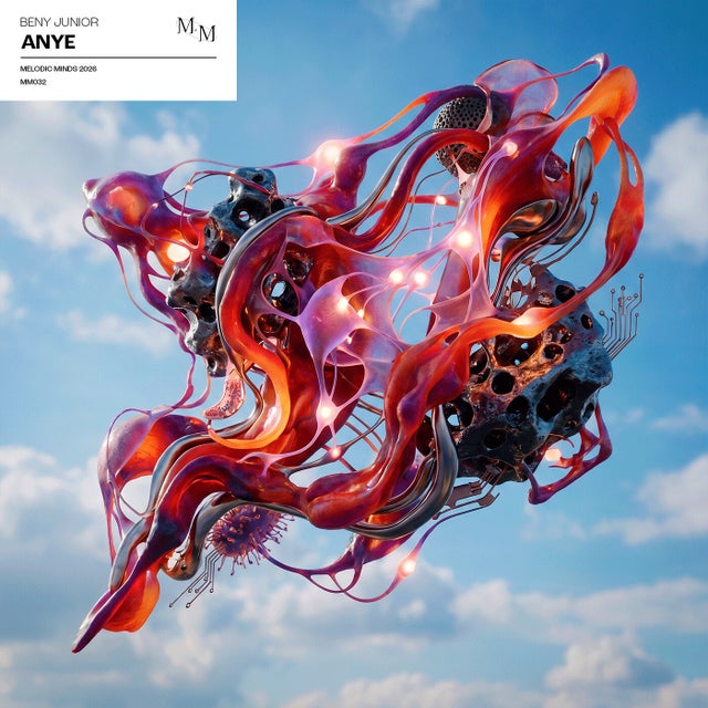 ANYE album art