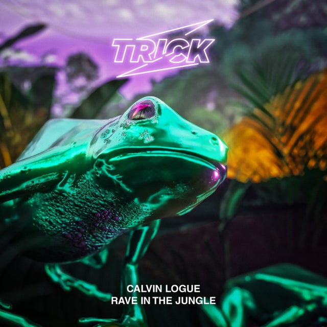 Rave In the Jungle album art