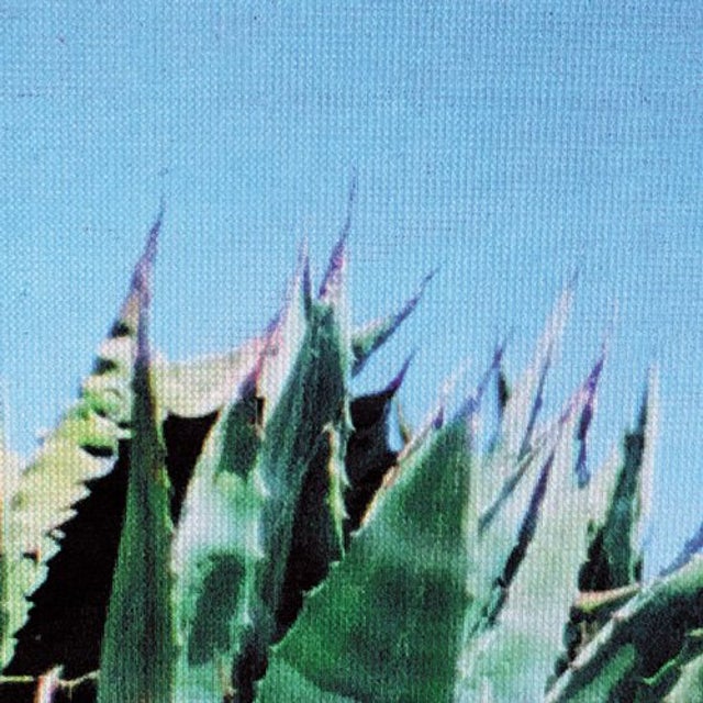 T album art