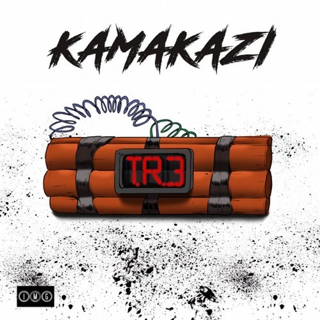 Kamakazi album art