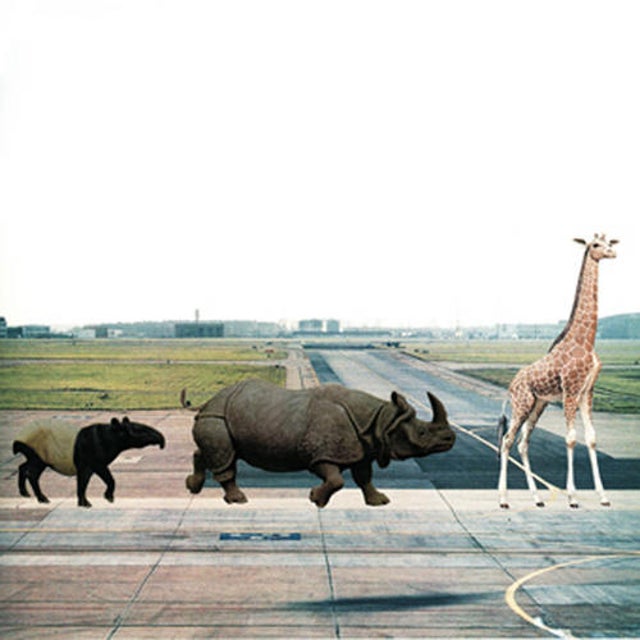 Safari feat. Schad Privat album art