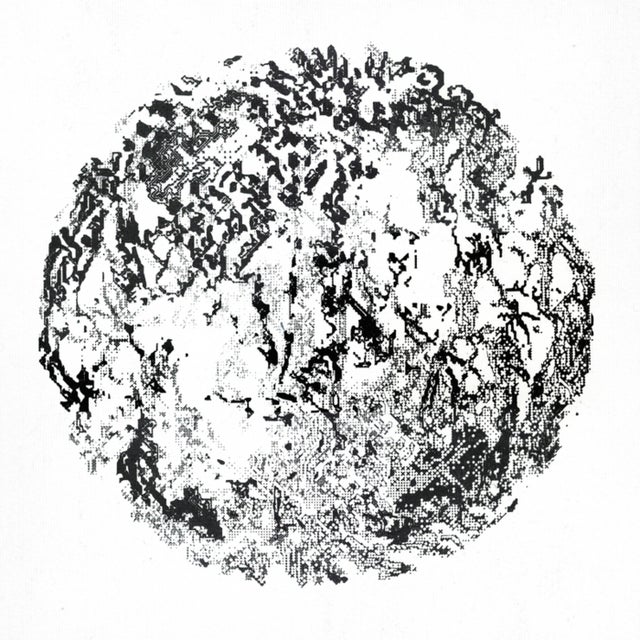 3.8 Square Meters of Pure Joy album art