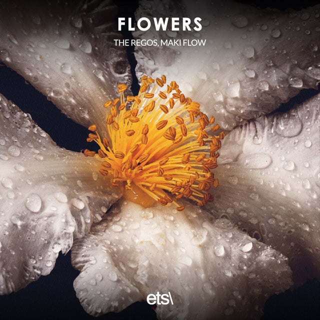 Flowers - Extended Mix album art