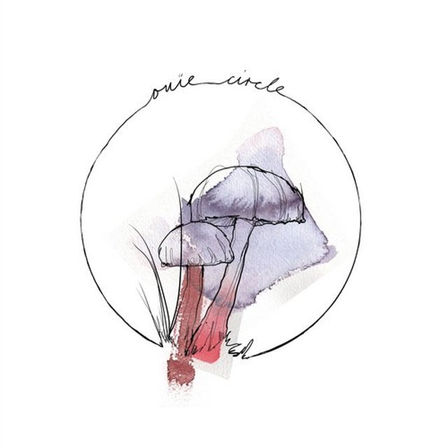 Pi album art