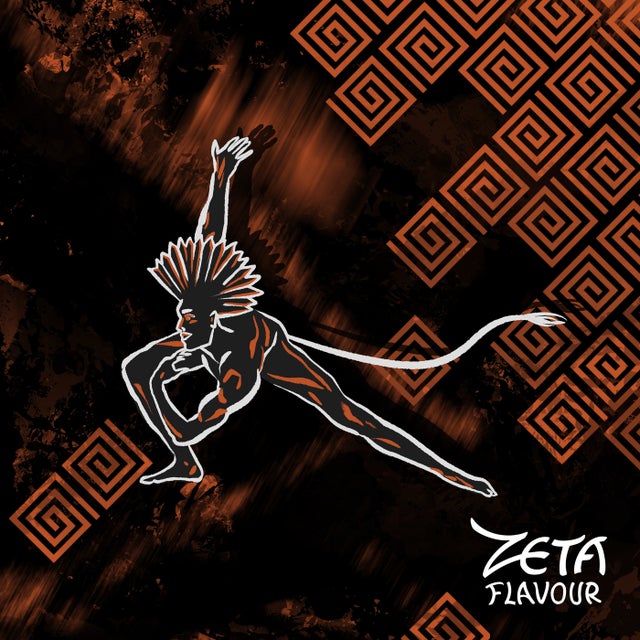 We Gonna Say - Extended Version album art