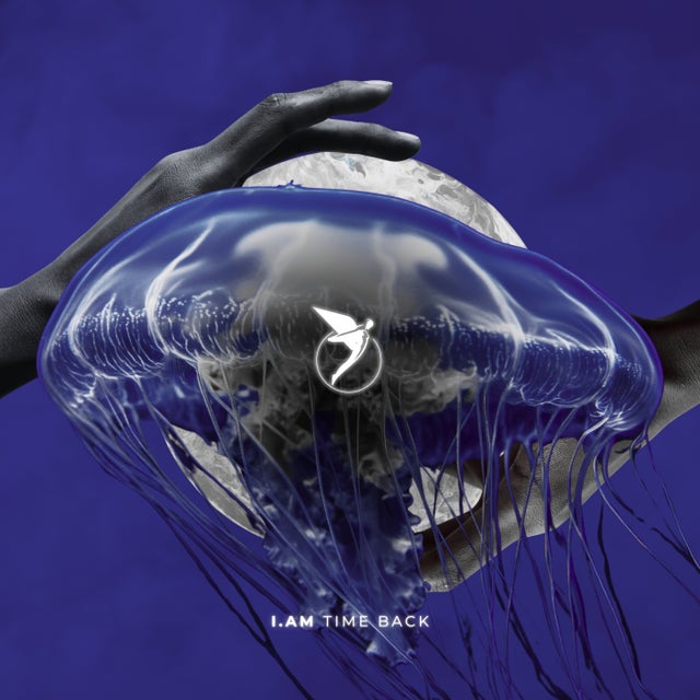Unknown - Extended Mix album art
