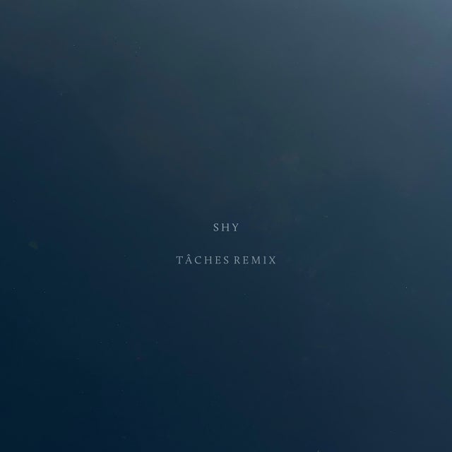 Shy - TÂCHES Remix album art