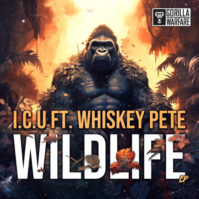 Wildlife album art