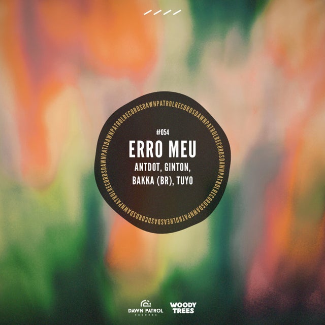 Erro Meu album art
