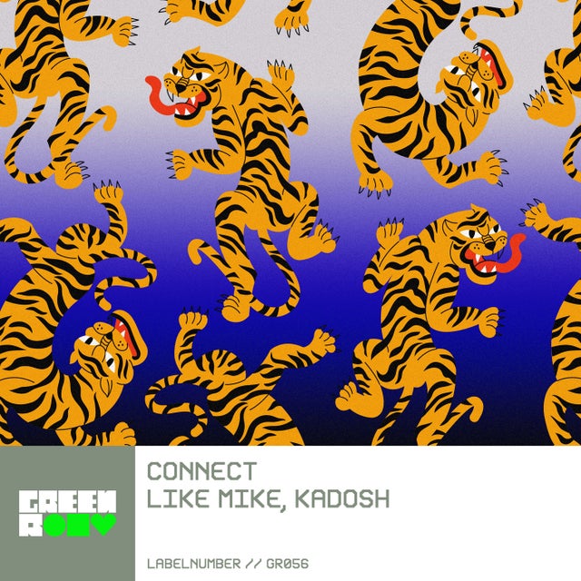 Connect - Extended Mix album art