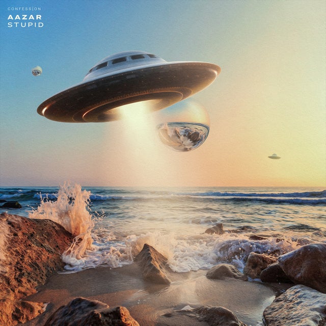 Stupid album art