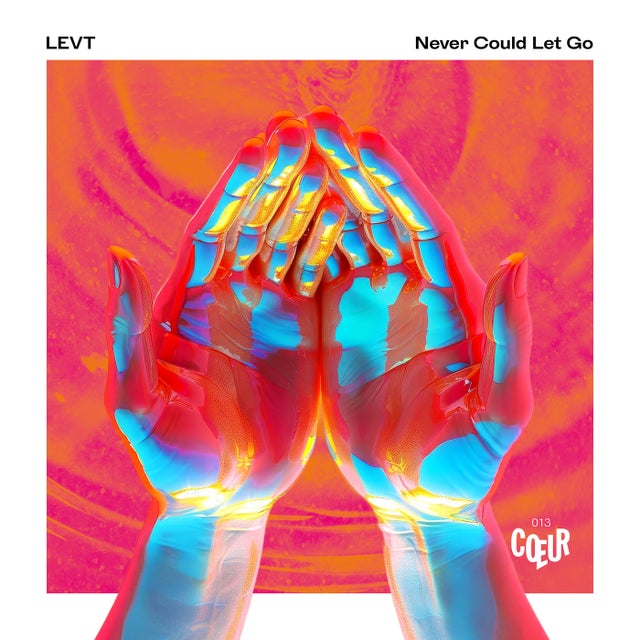 Never Could Let Go album art