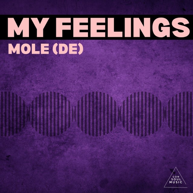 My Feelings album art