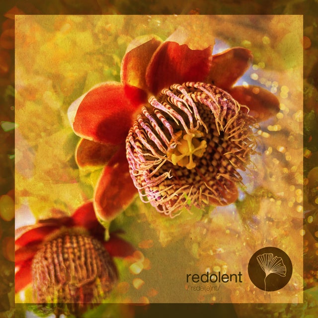 Bombo album art