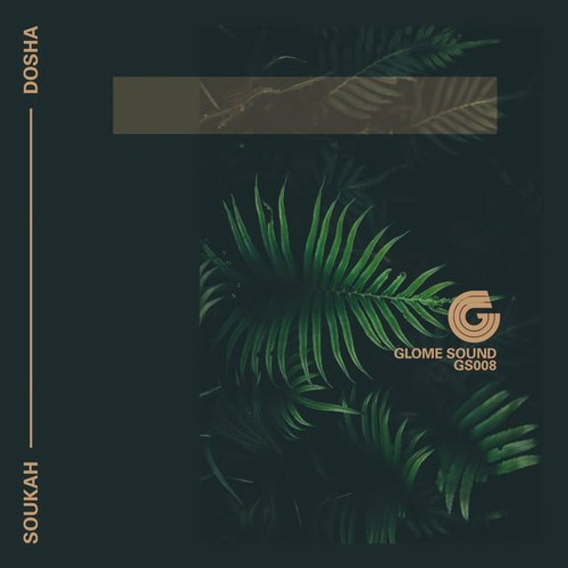 Dosha album art