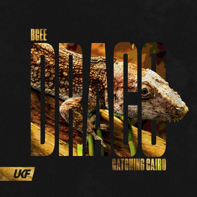 Draco album art
