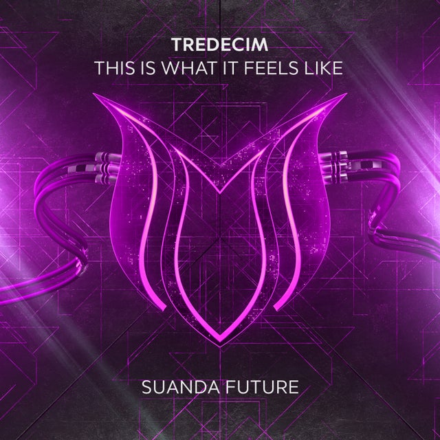 This Is What It Feels Like - Extended Mix album art
