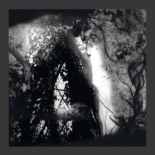 Odalesque album art