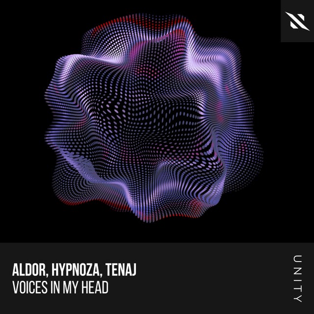Voices in My Head - Extended Mix album art
