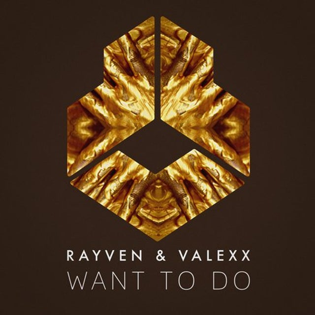 Want To Do - Extended Mix album art