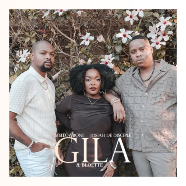 Gila album art