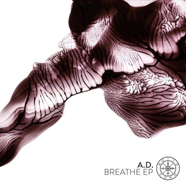 Through the Clouds album art