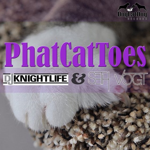 PhatCatToes album art