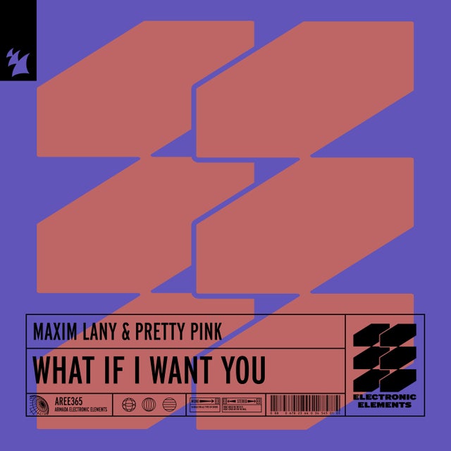 What If I Want You - Extended Mix album art