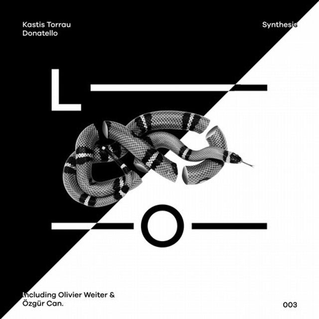 Synthesis - Özgür Can Remix album art