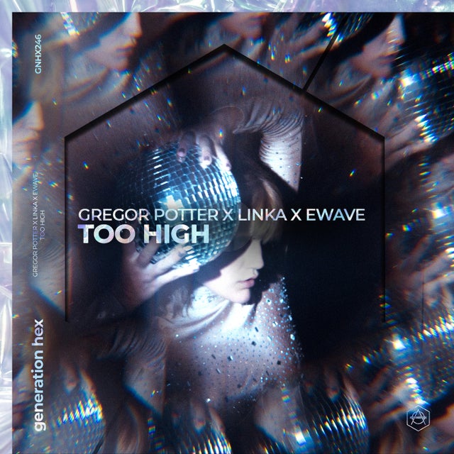 Too High - Extended Mix album art