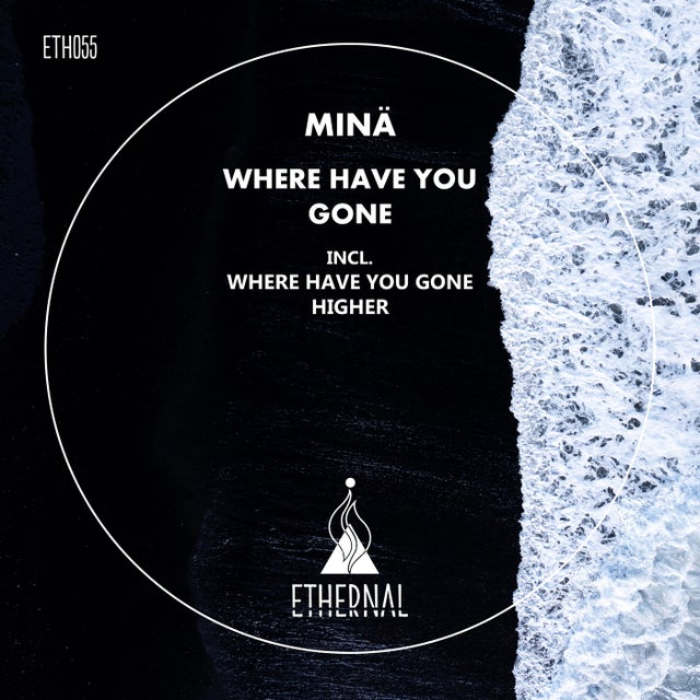 Where Have You Gone album art