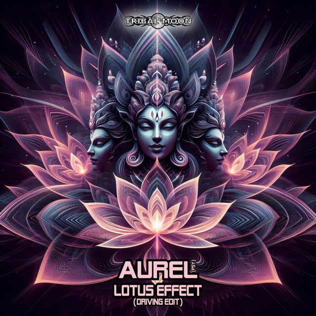 Lotus Effect - Driving Edit album art