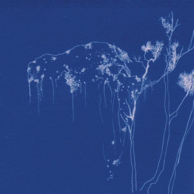 Ríos Voladores album art