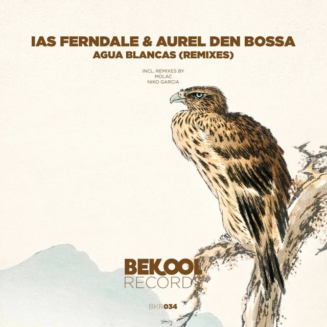 Agua Blancas - Niko Garcia Remix album art