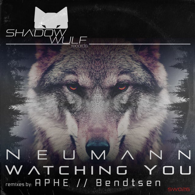 Watching You album art