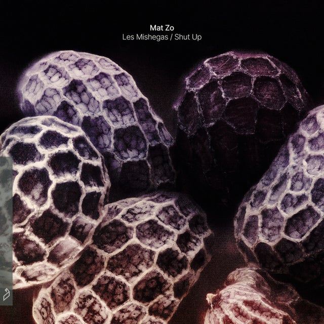 Les Mishegas - Extended Mix album art