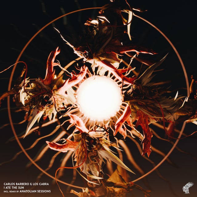 I Ate the Sun - Anatolian Sessions Remix album art