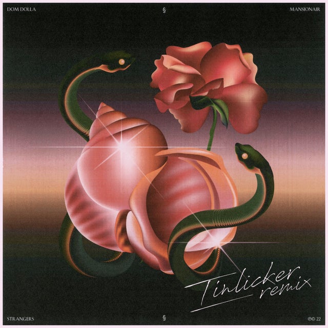 Strangers (with Mansionair) - Tinlicker Extended Remix album art