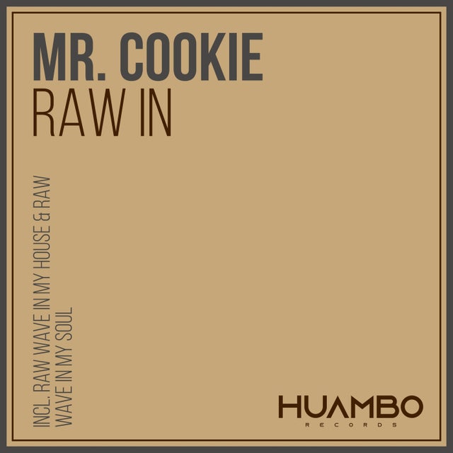 Raw Wave in My House album art