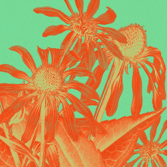 Keep Moving album art